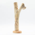Handmade Parasite Wood Art Carving - Greenman